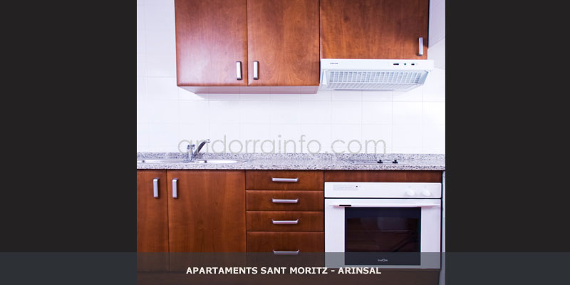 cocina2-apartamentos-sant-moritz-arinsal.jpg